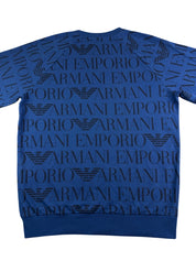 Armani Sweater (L)